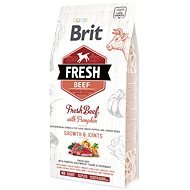 Brit Fresh Beef with Pumpkin Puppy Large 2,5kg - Kibble for Puppies