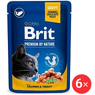 Brit Premium by Nature Cat Pouch with Salmon & Trout 6 × 100 g - Cat Food Pouch