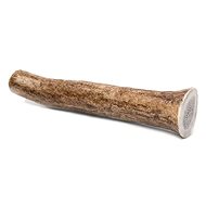 Whole Antler Deer, XS - Fallow Antler Dog Chew