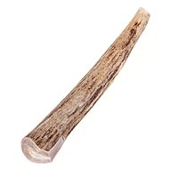 Fallow Deer Antlers, XL - Fallow Antler Dog Chew