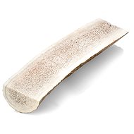 Fallow Deer Antlers, L - Fallow Antler Dog Chew