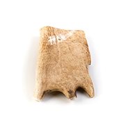 Deer Antlers  L - Fallow Antler Dog Chew