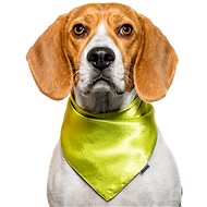Chiweto Jackie M, Green Neon - Dog Scarves