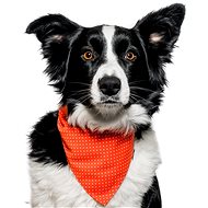 Chiweto Dotty L, Orange, Polka Dots - Dog Scarves