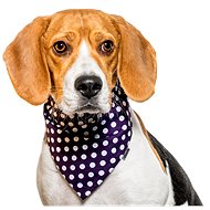 Chiweto Besi S, Dark Blue, Polka Dots - Dog Scarves