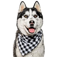 Chiweto Bady S, Black and White Blocks - Dog Scarves