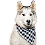 Chiweto Bady M, Black and White Blocks - Dog Scarves
