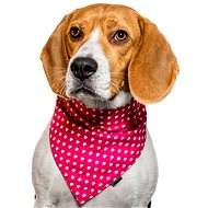Chiweto Betty S, Pink, Hearts - Dog Scarves