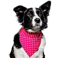 Chiweto Betty M, Pink, Hearts - Dog Scarves