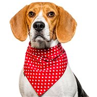 Chiweto Maggie M, Red, Hearts - Dog Scarves