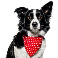 Chiweto Maggie L, Red, Hearts - Dog Scarves