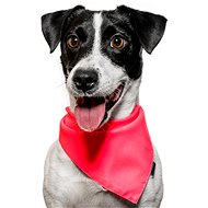 Chiweto Lady M, Pink Neon - Dog Scarves