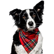 Chiweto Deluxe Bella L, Red Blocks - Dog Scarves