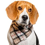 Chiweto Jessy S, Beige Blocks - Dog Scarves