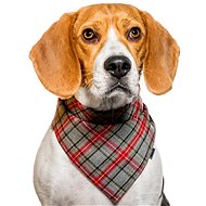 Chiweto Bruno S, Grey-red Squares - Dog Scarves