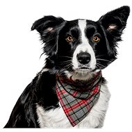 Chiweto Bruno L, Gray-Red Blocks - Dog Scarves