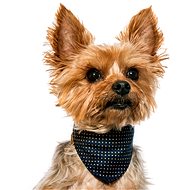 Chiweto Denny S, Dark Blue, Gold Dot - Dog Scarves