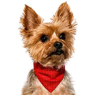 Chiweto Akita S, Red, Gold Dot - Dog Scarves