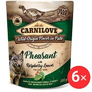 Carnilove Dog Pouch Paté Pheasant with Raspberry Leaves 6 × 300 g - Dog Food Pouch