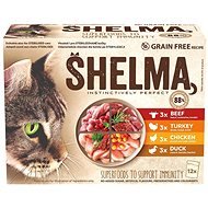 Shelma Cat Food Pouch 4 Types of Meat 12 × 85g - Cat Food Pouch