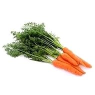 ECOCOSE Carrot - Essential Oil