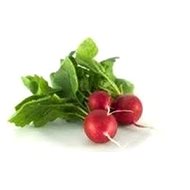 ECOCOSE Leucidal - Preservatives and Active Ingredients
