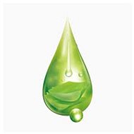ECOCOSE Liftonin® - Preservatives and Active Ingredients