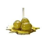 EKOKOZA Olive Squalane - Preservatives and Active Ingredients
