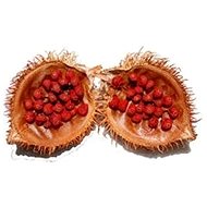 EKOKOZA Urucum powder - Cosmetic Ingredients