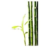 EKOKOZA Bamboo powder, 10g - Cosmetic Powder