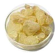 EKOKOZA Dammar resin, 100g - Resin