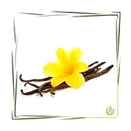 EKOKOZA Vanilla butter - Plant Butter