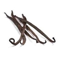 EKOKOZA Vanilla macerate - Plant Extract