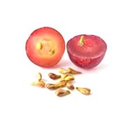 EKOKOZA Grape seed extract - Plant Extract