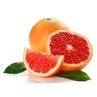 EKOKOZA Grapefruit Kernel Extract 60% - Plant Extract