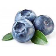 EKOKOZA Blueberry oil - Plant Oil