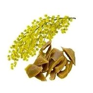 EKOKOZA Mimosa flower wax - Candle Wax