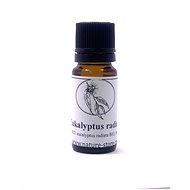 NATURE-STORE Essential oil eucalyptus radiata bio 10 ml - Essential Oil