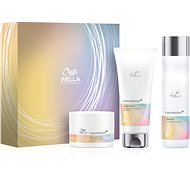 WELLA PROFESSIONALS ColorMotion+ Set - Haircare Set
