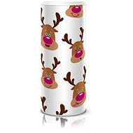 SCHWARZKOPF Teen Box Reindeer - Haircare Set