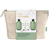 BAYLIS & HARDING set in bag Ginger, Lime & Basil 860 ml - Cosmetic Gift Set