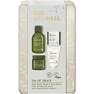 BAYLIS & HARDING Ginger, Lime & Basil Tin Set 180ml - Cosmetic Gift Set