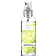 RYOR Refreshing Hyaluronic Acid Mist 100ml - Face Tonic