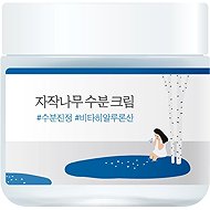 ROUND LAB Birch Juice Cream 80 ml - Face Cream