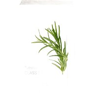 MIXSOON Daily Mask Pack Tuesday Glass Skin 20 ml - Face Mask