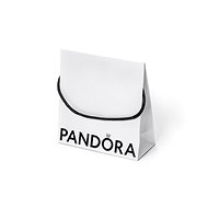 PANDORA Gift bag large 21,5×16×16 cm - Gift Bag