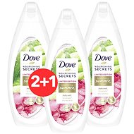 DOVE Smoothing Summer Ritual Aloe Vera + Rose Water Body Wash 250ml 2 + 1 - Shower Gel