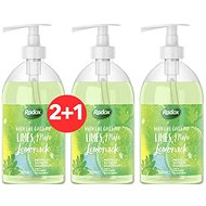 RADOX Anti-Bacterial Protect + Refresh Hand Wash 500 ml 2 + 1 - Liquid Soap