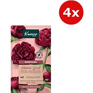 KNEIPP Sůl do koupele Right from the Hearth 4 × 60 g - Sůl do koupele