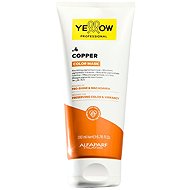 ALFAPARF MILANO YE colour Care Refr. Mask 4 200 ml - Hair Dye